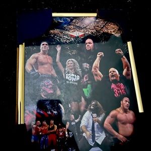 Vtg Wwf picture in frame